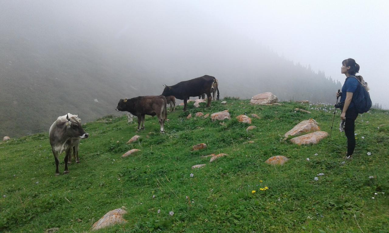 Trekking Center Hotel Bokonbayevo Kültér fotó